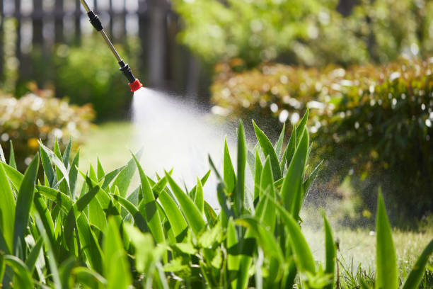 24/7 Emergency Ant Control experts in Winnebago, MN