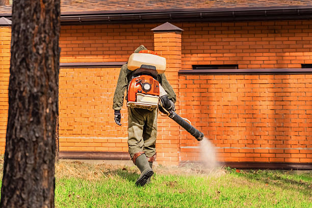 Trusted Bed Bug Control service in Winnebago, MN - Nex Pest Control